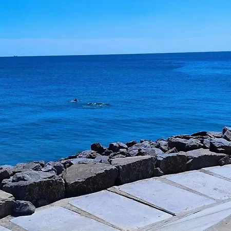 Sunny Place * Odesa